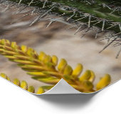 Sluiting van Cactus en Agave Poster (Hoek)