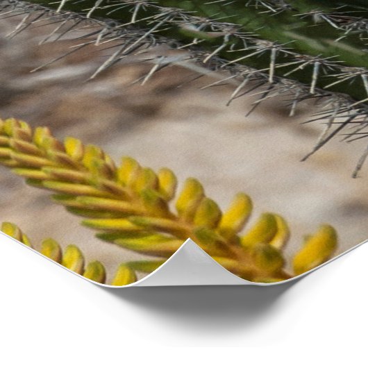 Sluiting van Cactus en Agave Poster (Hoek)