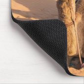 Sluiting van Camel in de woestijn van Oman Muismat (Hoek)