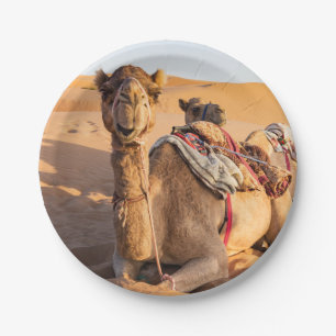 Sluiting van Camel in de woestijn van Oman Papieren Bordje