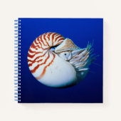 Sluiting van Chambered Nautilus Notitieboek (Voorkant)
