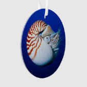 Sluiting van Chambered Nautilus Ornament (voorkant)