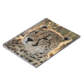 Sluiting van Cheetahs Notitieboek (Linkerzijde)