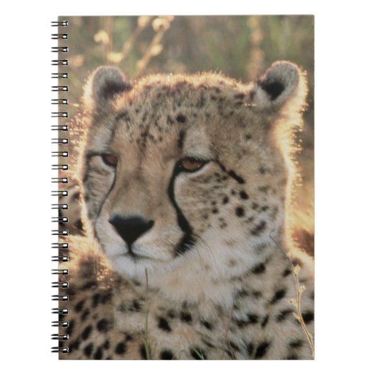 Sluiting van Cheetahs Notitieboek (Voorkant)