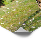 Sluiting van de Afrikaanse Cheetah Poster (Hoek)