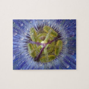 Sluiting van de bruine passiebloem. Krediet als: D Legpuzzel