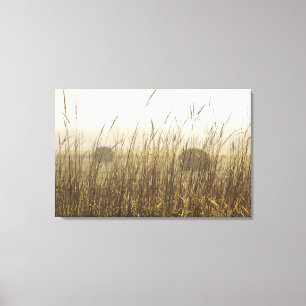 Sluiting van de fotografie van Wheat Canvas Afdruk