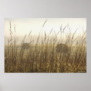 Sluiting van de fotografie van Wheat Poster