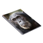 Sluiting van de mannelijke chimpansee notitieboek (Rechterzijde)