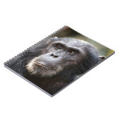 Sluiting van de mannelijke chimpansee notitieboek (Linkerzijde)