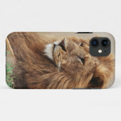Sluiting van de mannelijke leeuw Case-Mate iPhone case (Achterkant (horizontaal))