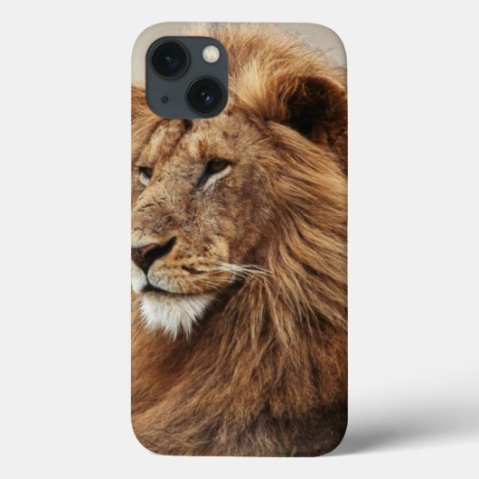 Sluiting van de mannelijke leeuw Case-Mate iPhone case (Achterkant)