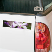 sluiting van de Orchid Flower Bumpersticker (Op Truck)