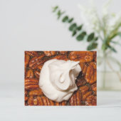 sluiting van de pecanpastei met een crème zonder p briefkaart (Staand voorkant)