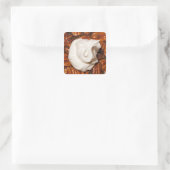 sluiting van de pecanpastei met een crème zonder p vierkante sticker (Tas)