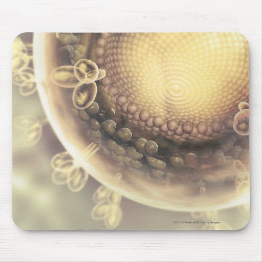 Sluiting van de structuur van een HIV-cel Muismat (Voorkant)