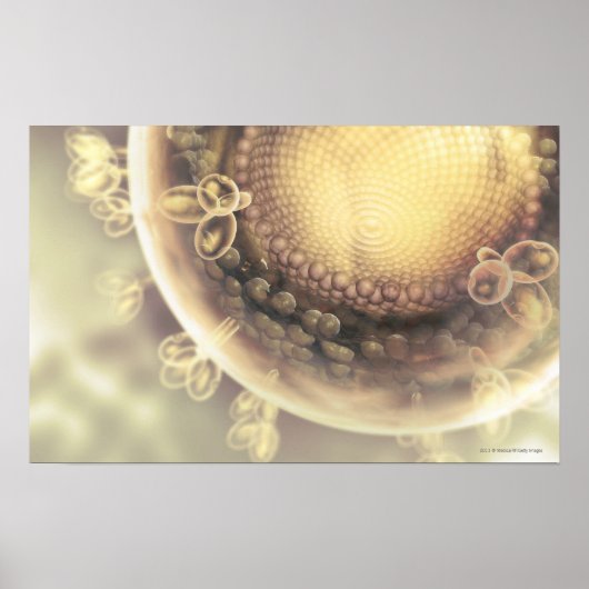 Sluiting van de structuur van een HIV-cel Poster (Voorkant)