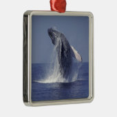 Sluiting van de walvis (Megaptera Metalen Ornament (Rechts)