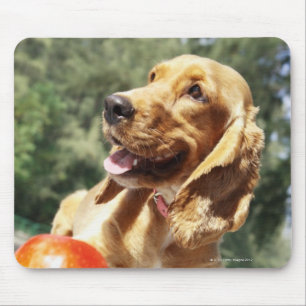 Sluiting van een appel voor een hond muismat
