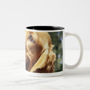 Sluiting van een appel voor een hond tweekleurige koffiemok