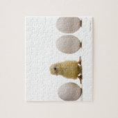 Sluiting van een baby-kuiken met drie eieren legpuzzel (Verticaal)