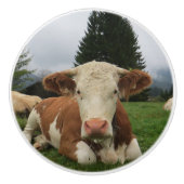 Sluiting van een bruine en witte koe keramische knop (Voorkant)