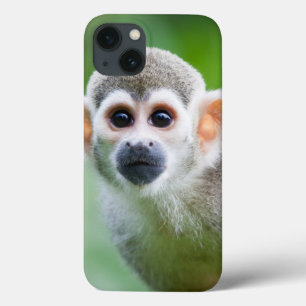 Sluiting van een Common Squirrel Monkey iPhone 13 Hoesje