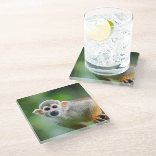Sluiting van een Common Squirrel Monkey Glazen Onderzetter (Schuin)