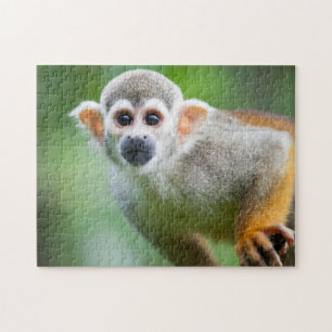 Sluiting van een Common Squirrel Monkey Legpuzzel