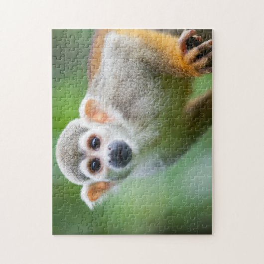 Sluiting van een Common Squirrel Monkey Legpuzzel (Verticaal)