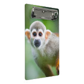 Sluiting van een Common Squirrel Monkey Mini Klembord (Schuin)