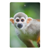 Sluiting van een Common Squirrel Monkey Mini Klembord (Achterkant)