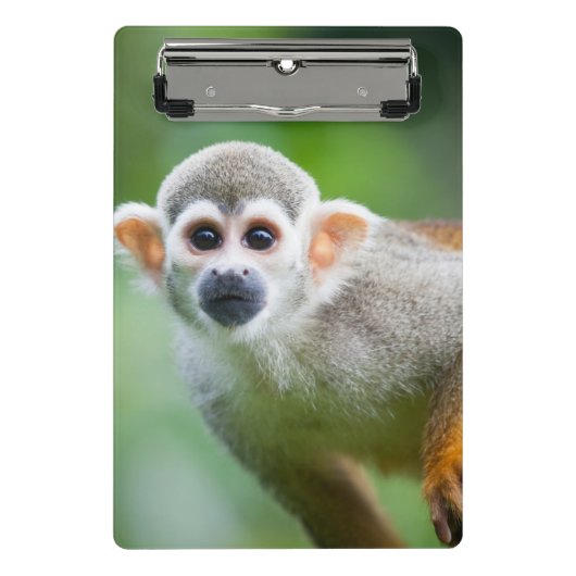 Sluiting van een Common Squirrel Monkey Mini Klembord (Voorkant)