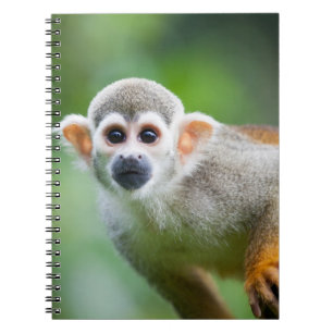 Sluiting van een Common Squirrel Monkey Notitieboek