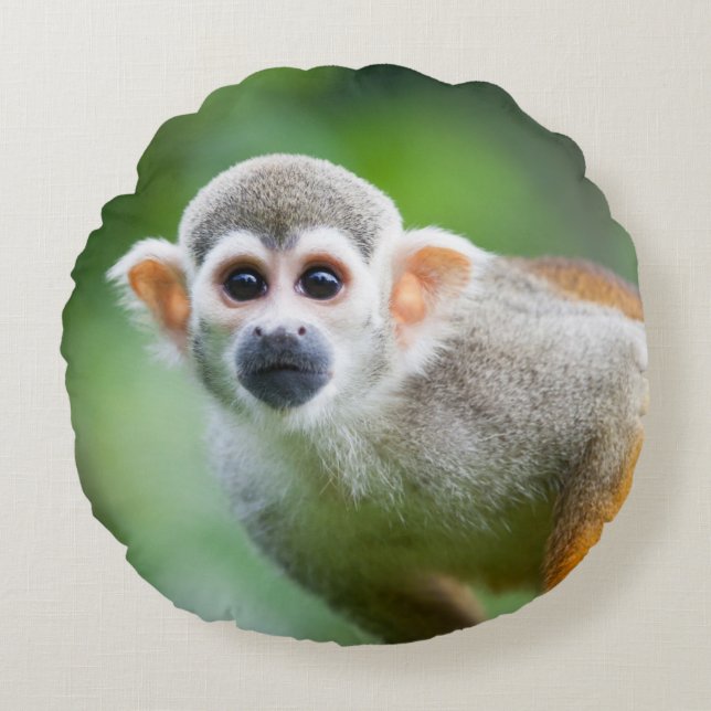 Sluiting van een Common Squirrel Monkey Rond Kussen (Voorkant)