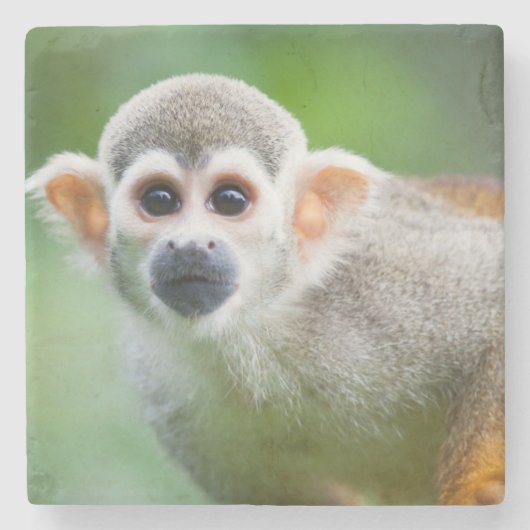Sluiting van een Common Squirrel Monkey Stenen Onderzetter (Voorkant)