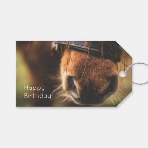 Sluiting van een Cute Brown Horse Nose Birthday Cadeaulabel