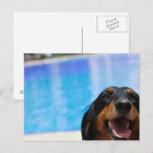 Sluiting van een Dachshund-hond Briefkaart (Voorkant / Achterkant)