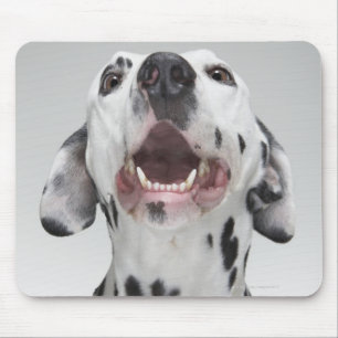 Sluiting van een Dalmatische hond Muismat