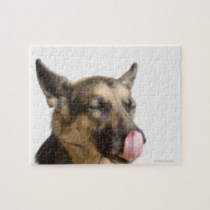 Sluiting van een Duitse herder die zijn neus likt Legpuzzel