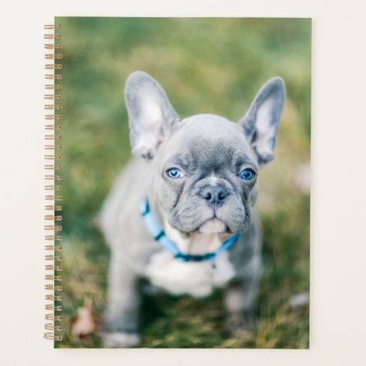 Sluiting van een Franse hond Planner (Voorkant)