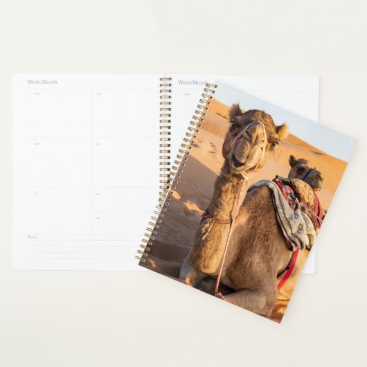 Sluiting van een grappige kameel in de woestijn va planner (Display)