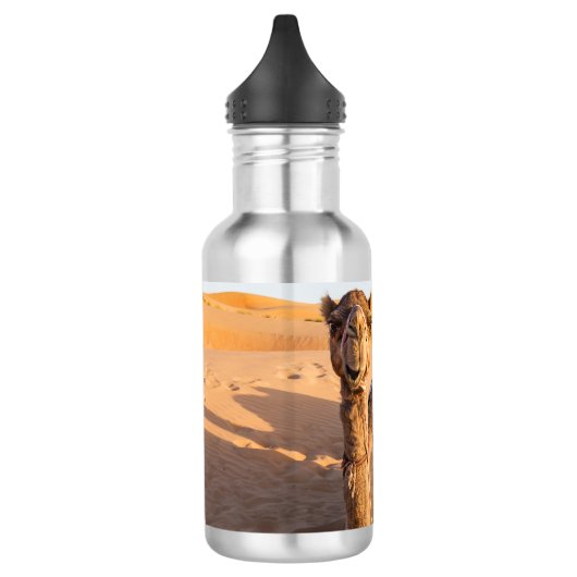 Sluiting van een grappige kameel in de woestijn va waterfles  (Links)