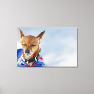 Sluiting van een hond 2 canvas afdruk