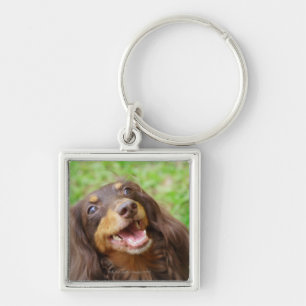 Sluiting van een hond uit Dachshund Sleutelhanger