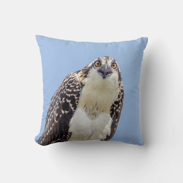 Sluiting van een jonge Osprey Kussen (Voorkant)
