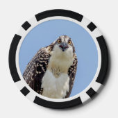 Sluiting van een jonge Osprey Poker Chips (Achterkant)