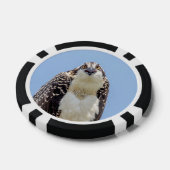 Sluiting van een jonge Osprey Poker Chips (Enkel)