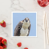 Sluiting van een jonge Osprey Servetten (Insitu)