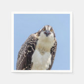 Sluiting van een jonge Osprey Servetten (Voorkant)